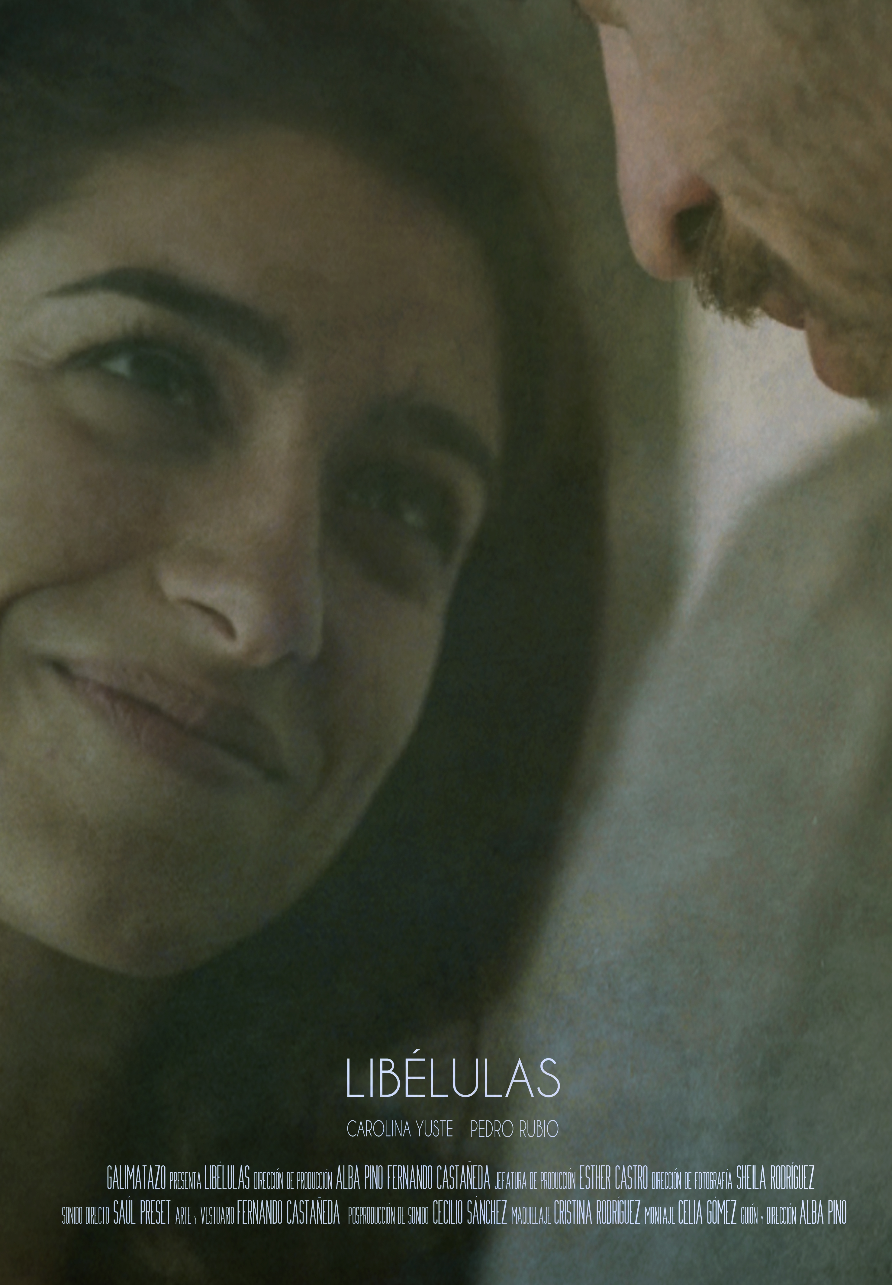 Cartel-Libélulas